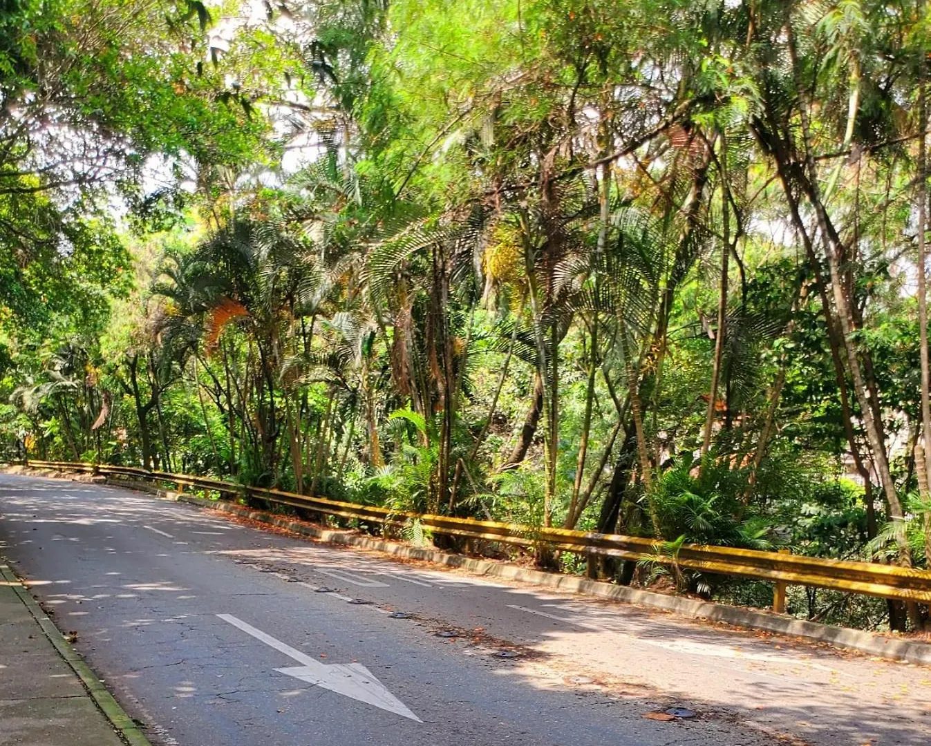Casa Dali Coliving Hotel Medellin Colombia