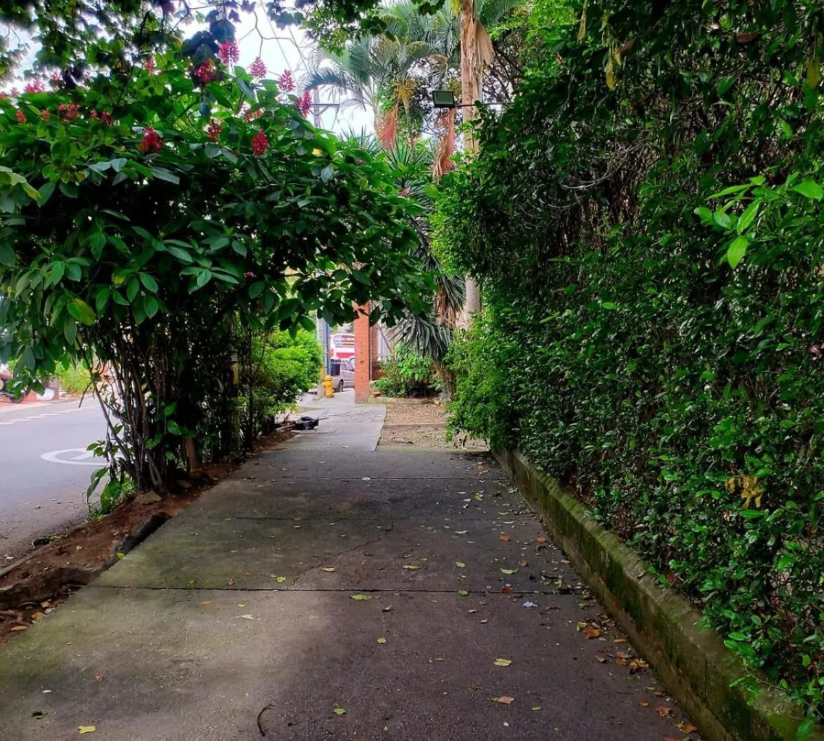 Guest house Casa Dali Coliving Hotel Medellin Colombia